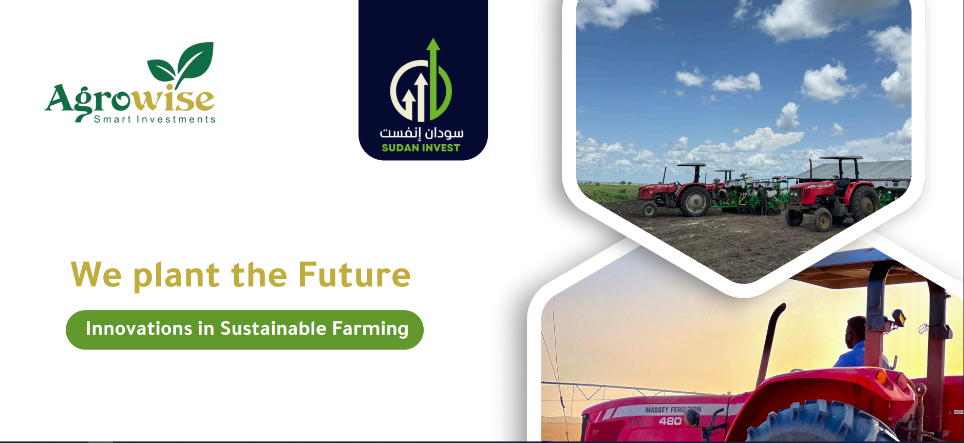 مشروع زراعة بذور القمح